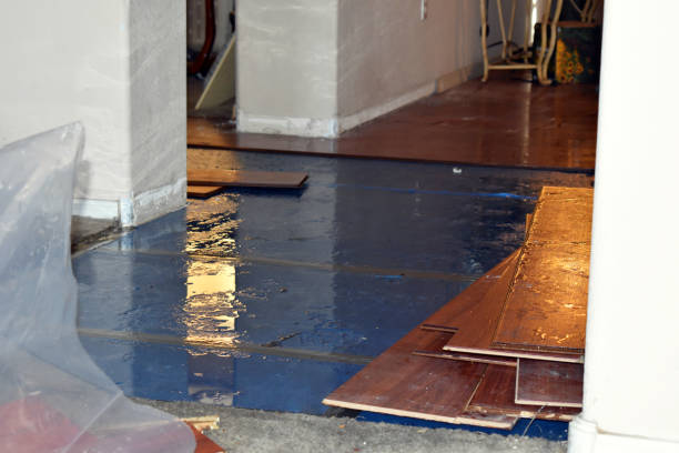 Professional Water Damage technician working in Driscoll, TX